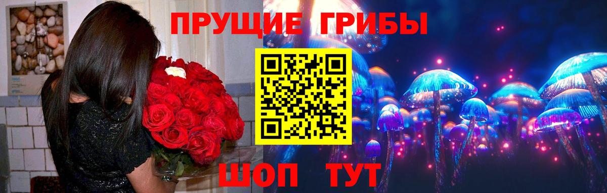 Псилоцибиновые грибы Psilocybine cubensis  Вход с VPN  Хабаровск  Псилоцибиновые грибы Psilocybe 